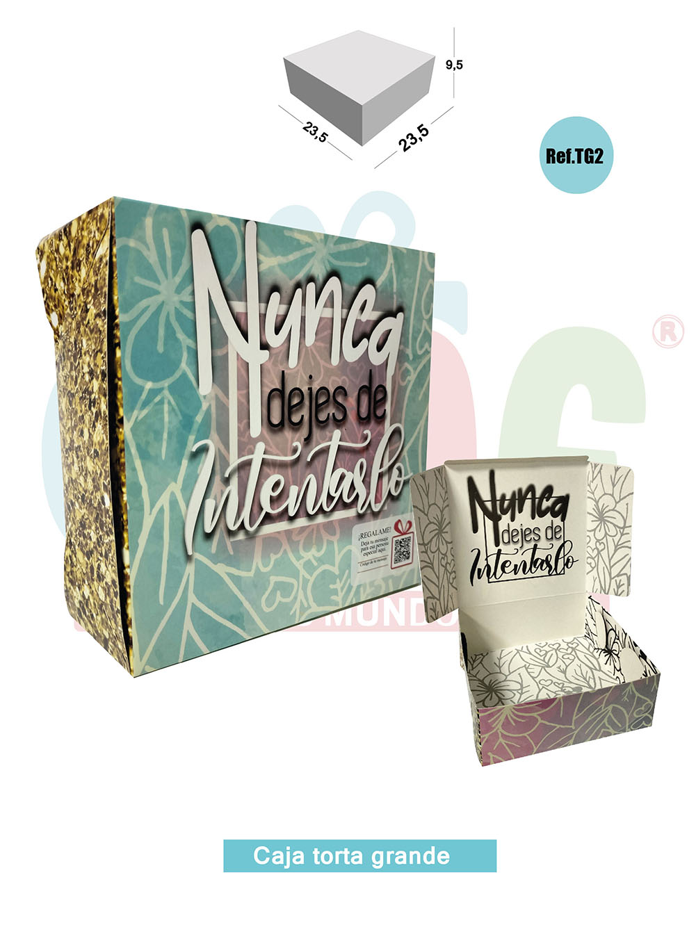  CAJA DE REGALO CUADRADA GRANDE  TG2