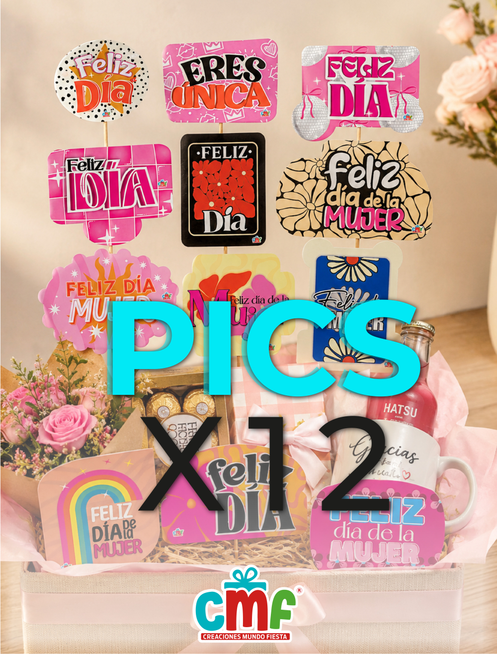 PICS X12