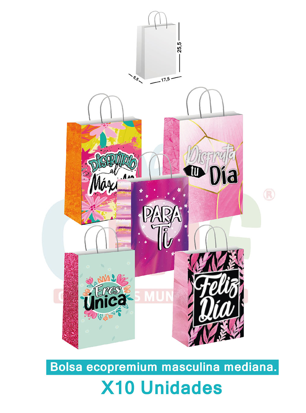 BOLSA ECOPREMIUM MEDIANA X10  FEMENINOS