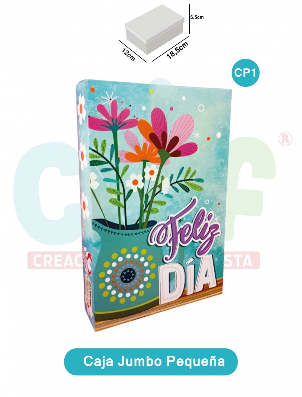 CAJA JUMBO COLOR PEQUEÑA   CP1