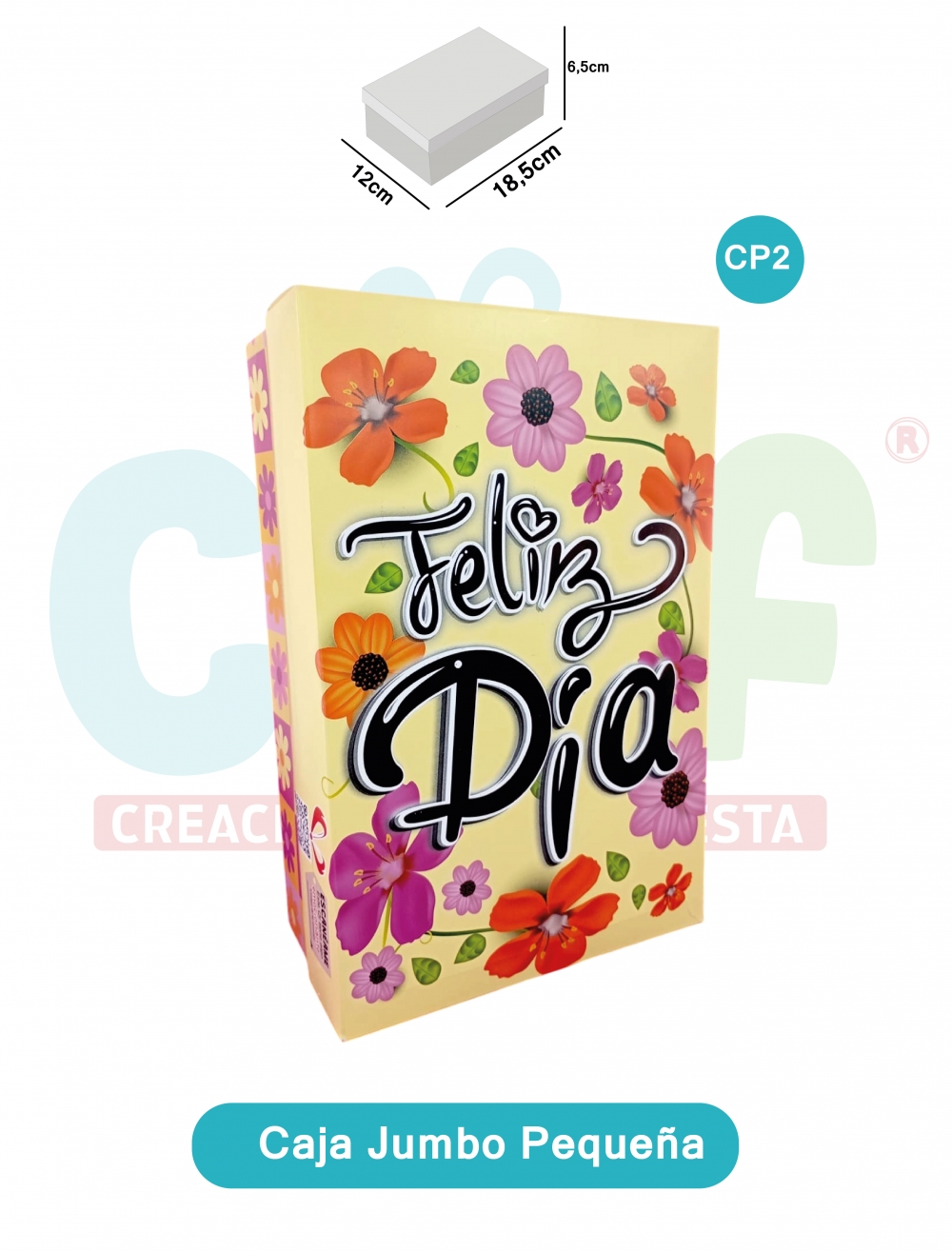 CAJA JUMBO COLOR PEQUEÑA   CP2