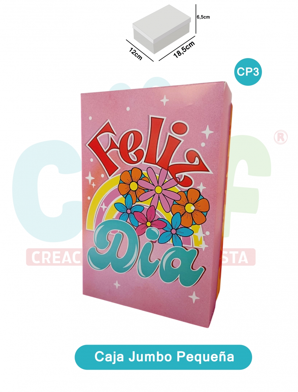 CAJA JUMBO COLOR PEQUEÑA   CP3