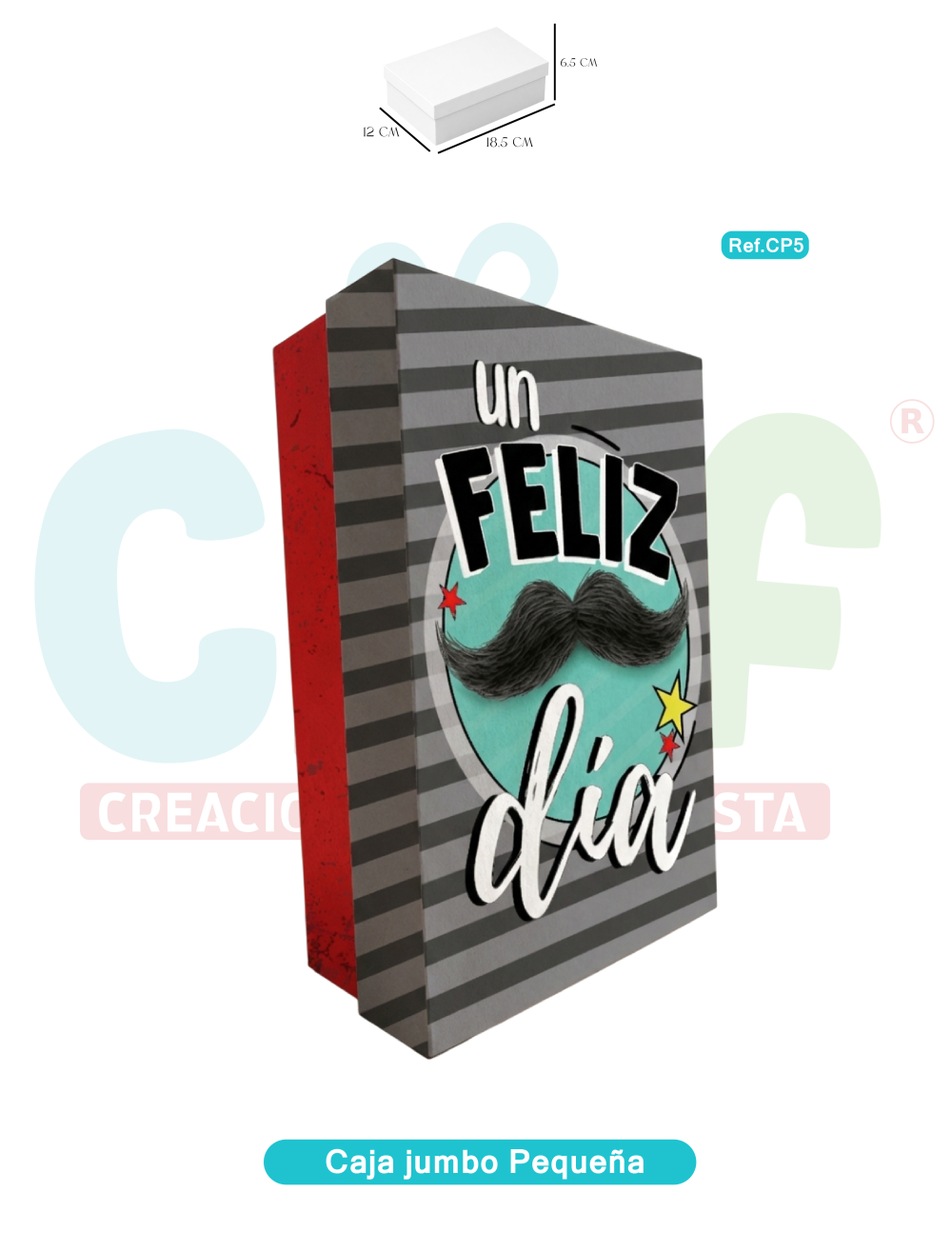 CAJA JUMBO COLOR PEQUEÑA   CP5