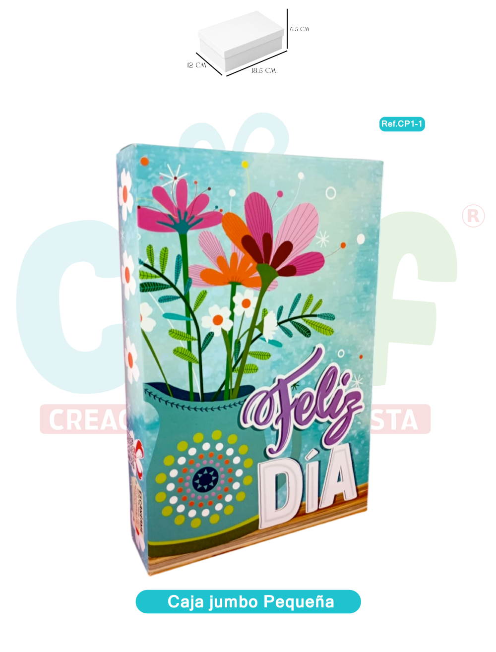 CAJA JUMBO COLOR PEQUEÑA   CP1-1