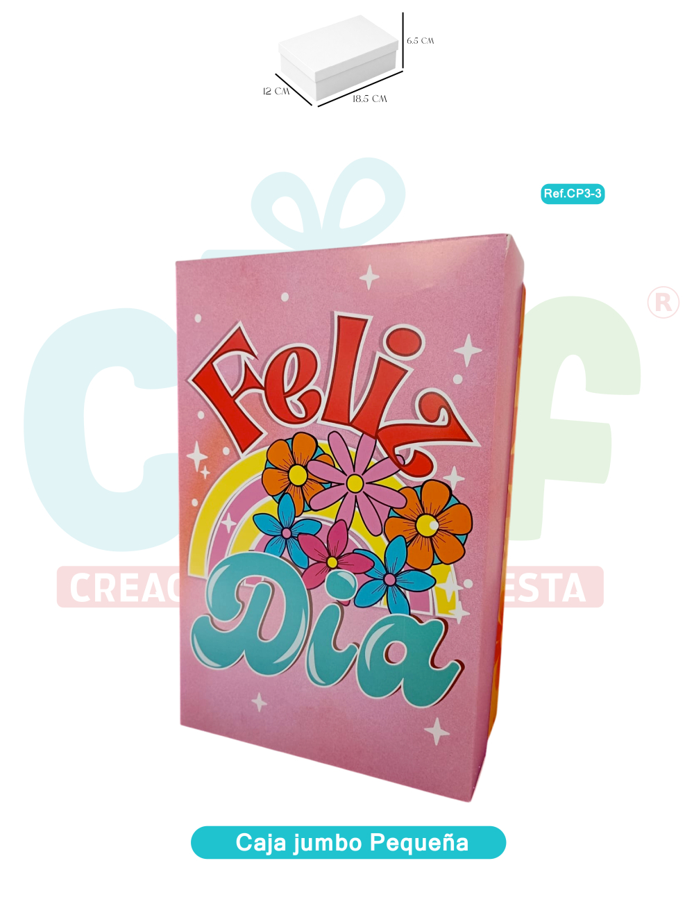 CAJA JUMBO COLOR PEQUEÑA   CP3-3