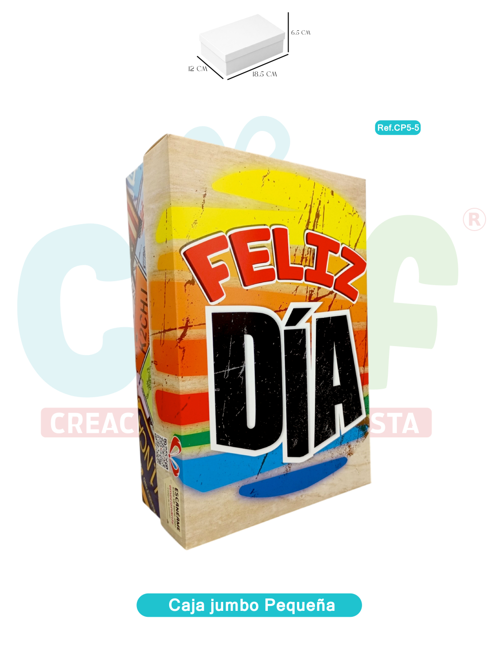 CAJA JUMBO COLOR PEQUEÑA   CP5-5