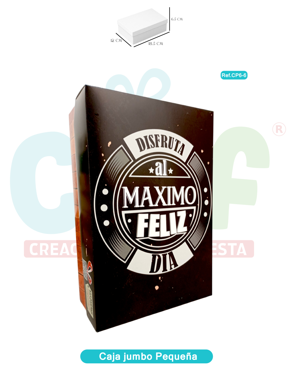 CAJA JUMBO COLOR PEQUEÑA   CP6-6