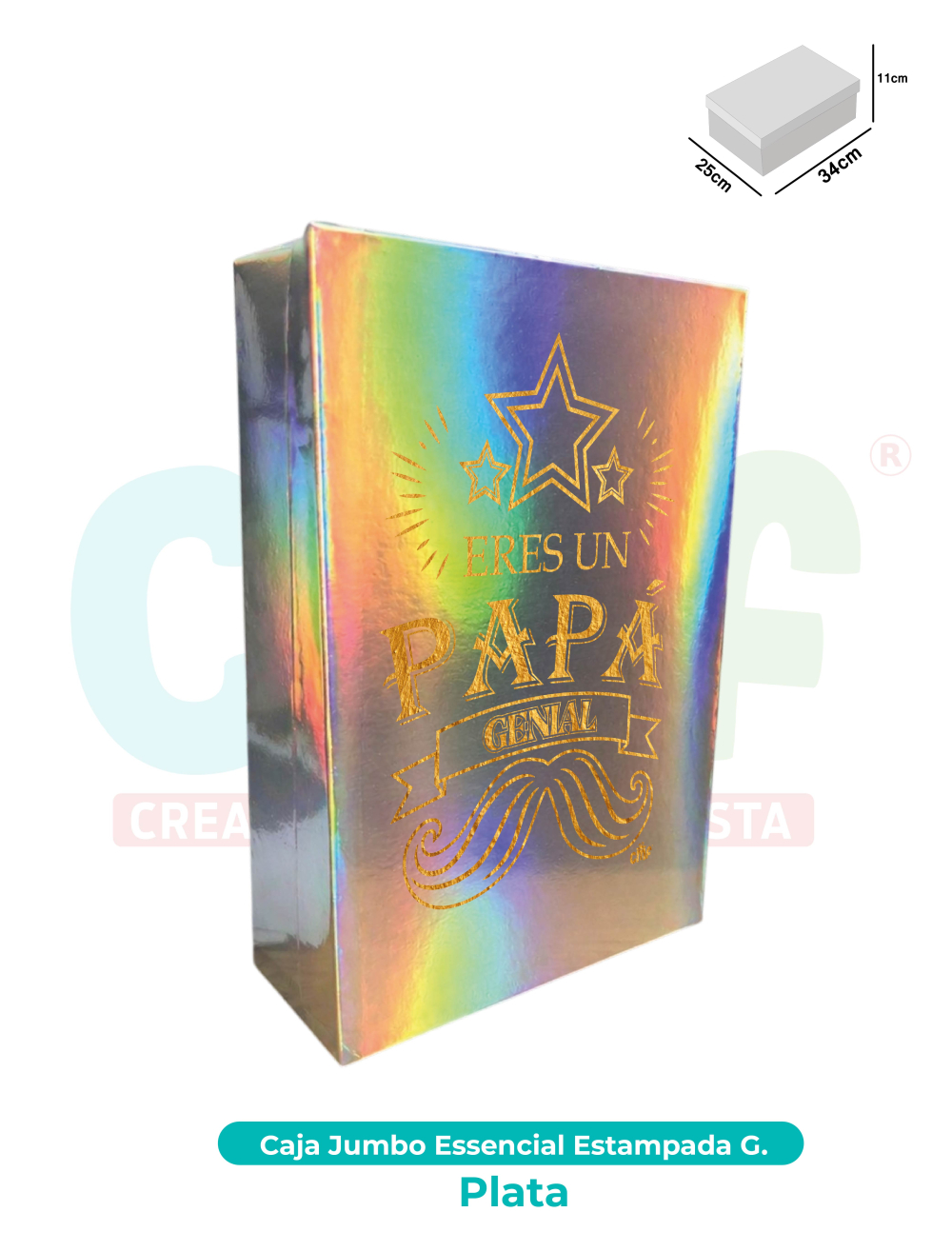 CAJA JUMBO GRANDE ESSENCIAL ESTAMPADA  PLATA