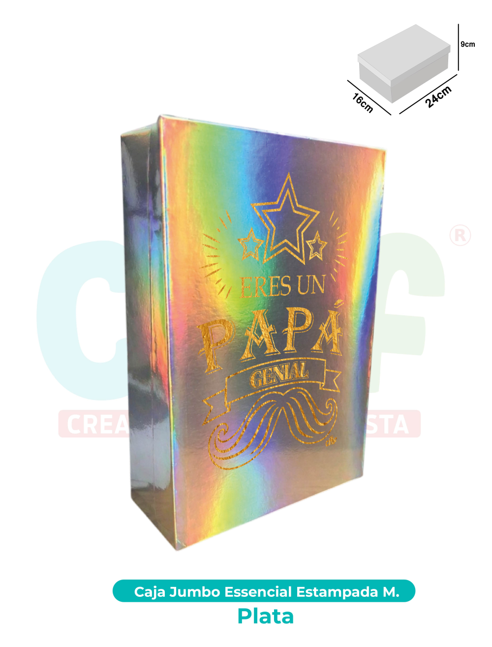 CAJA JUMBO MEDIANA ESSENCIAL ESTAMPADA  PLATA