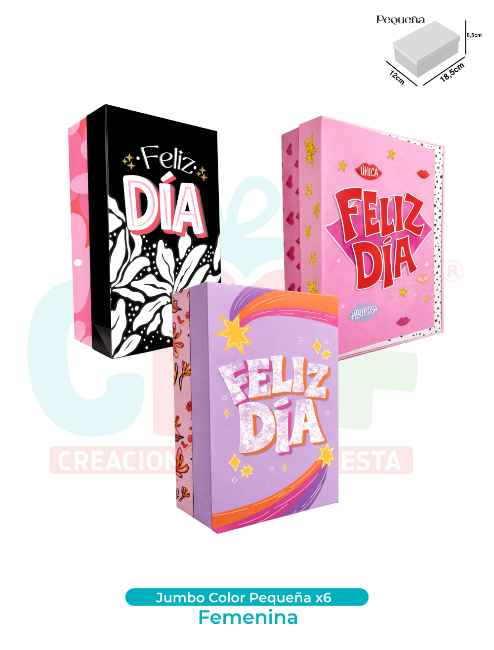 CAJA JUMBO COLOR PEQUEÑA X6  FEMENINA
